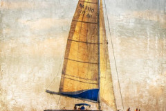 3_Aruba-277_pe