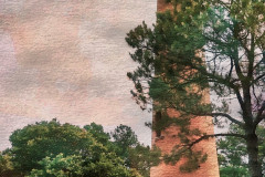 DSC00429-JuneTripC1_pea