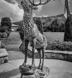 3_Banner-ElkBW