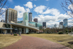 Atlanta-259-Copy-Copy